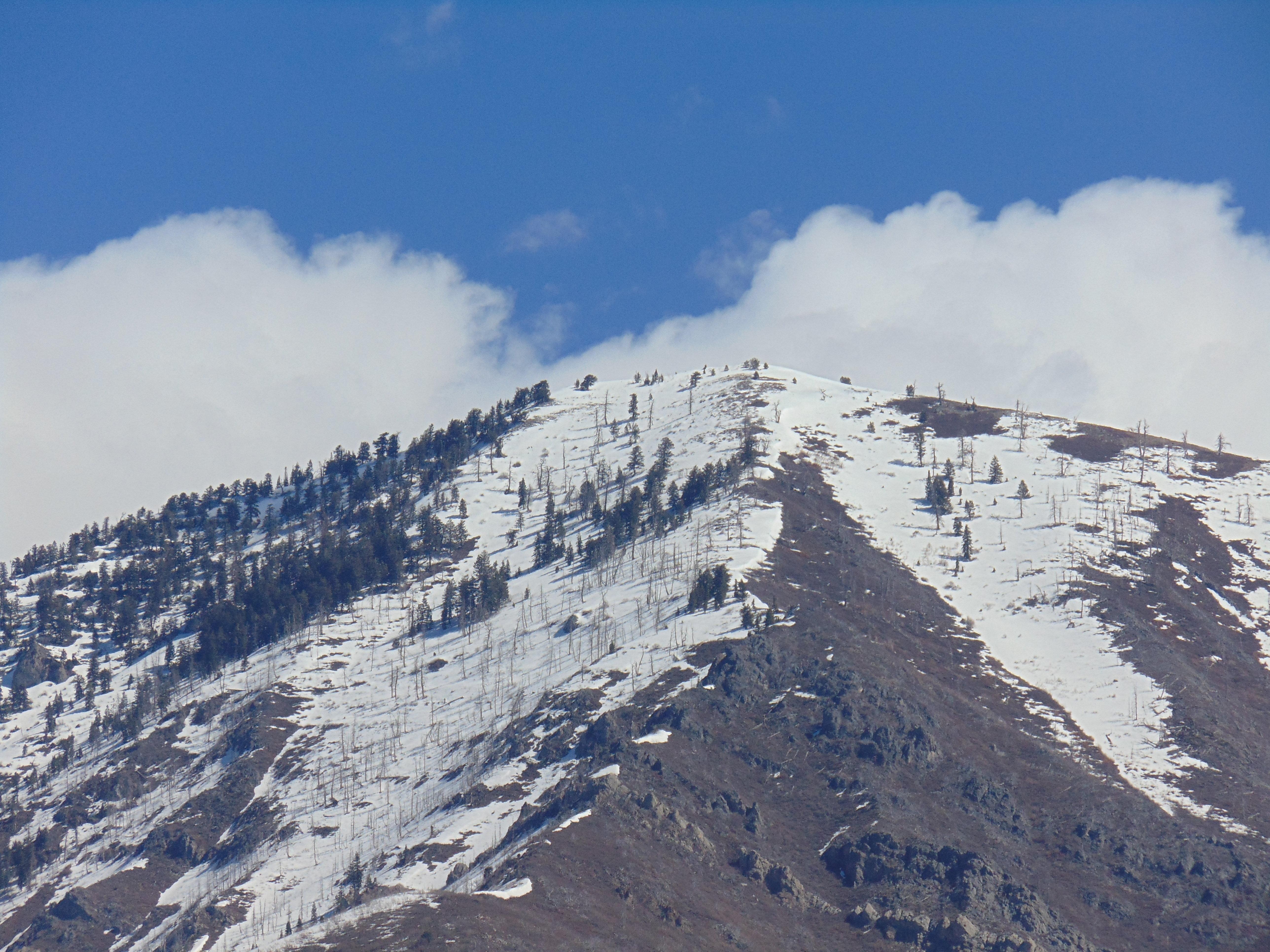 Holiday Inn Express & Suites Springville-South Provo Area By Ihg Εξωτερικό φωτογραφία